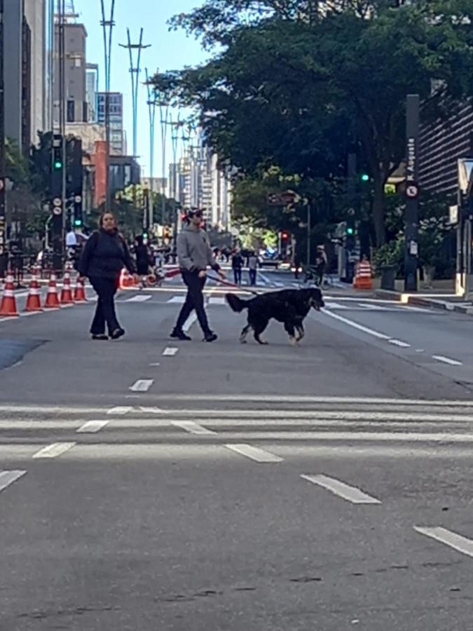 Hostel Trilhas E Rotas - A 150M Da Avenida Paulista São Paulo Eksteriør bilde