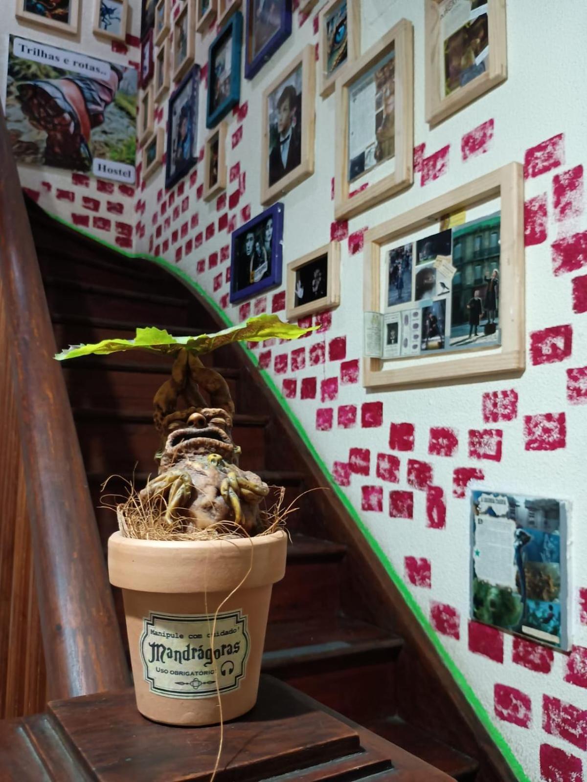 Hostel Trilhas E Rotas - A 150M Da Avenida Paulista São Paulo Eksteriør bilde